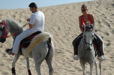 Vendetta In Dubai Preparing