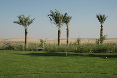 Vendetta In Dubai Preparing