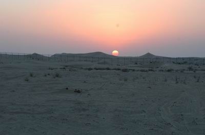 Vendetta In Dubai Preparing