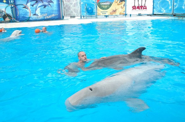 Vendetta Yalta Swimming Pool