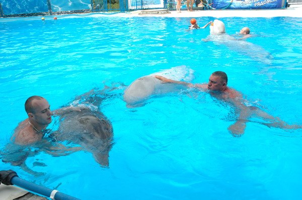 Vendetta Yalta Swimming Pool