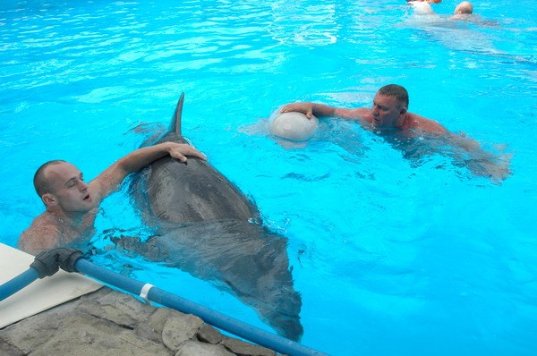 Vendetta Yalta Swimming Pool