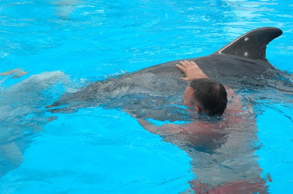 Vendetta Yalta Swimming Pool