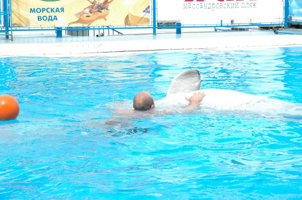 Vendetta Yalta Swimming Pool