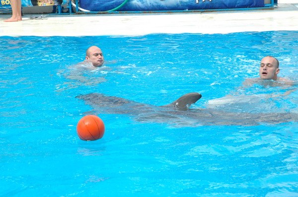 Vendetta Yalta Swimming Pool