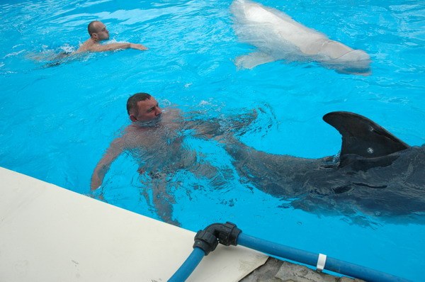 Vendetta Yalta Swimming Pool