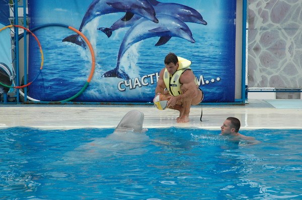 Vendetta Yalta Swimming Pool