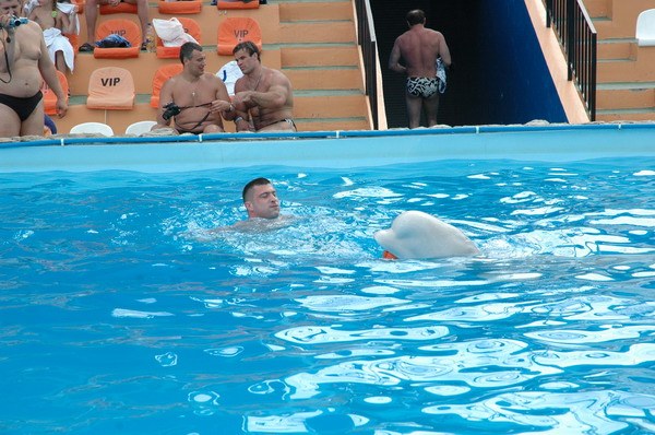 Vendetta Yalta Swimming Pool