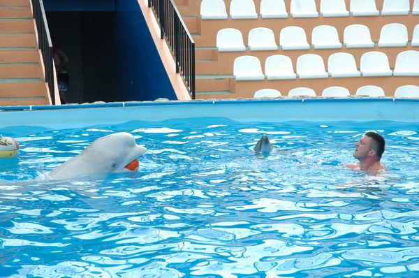 Vendetta Yalta Swimming Pool
