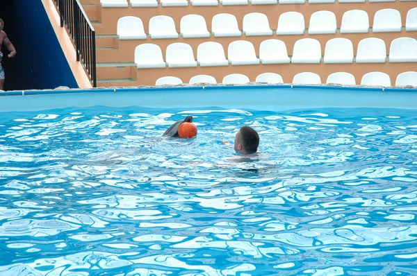 Vendetta Yalta Swimming Pool