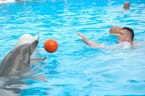 Vendetta Yalta Swimming Pool