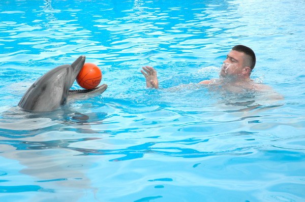 Vendetta Yalta Swimming Pool