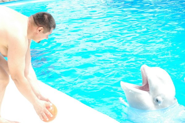 Vendetta Yalta Swimming Pool