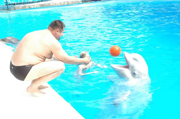 Vendetta Yalta Swimming Pool