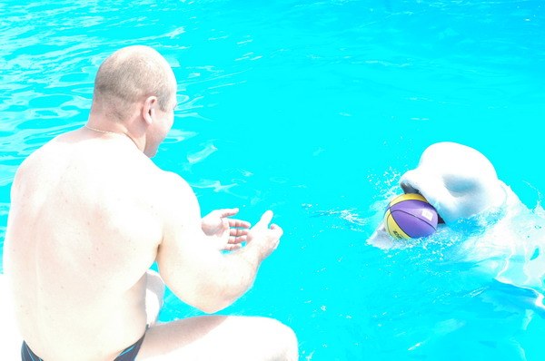 Vendetta Yalta Swimming Pool