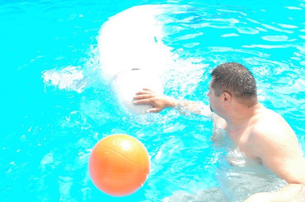 Vendetta Yalta Swimming Pool