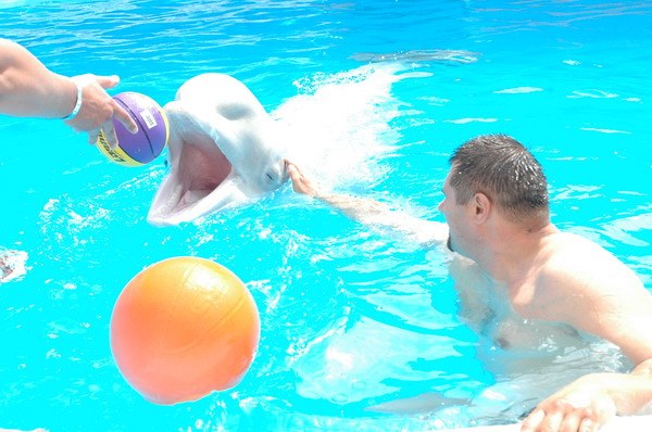 Vendetta Yalta Swimming Pool