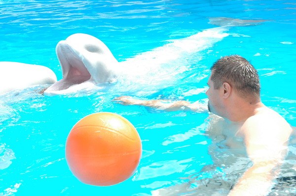 Vendetta Yalta Swimming Pool