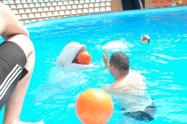 Vendetta Yalta Swimming Pool