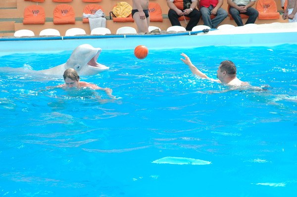 Vendetta Yalta Swimming Pool