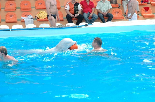 Vendetta Yalta Swimming Pool