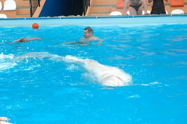 Vendetta Yalta Swimming Pool