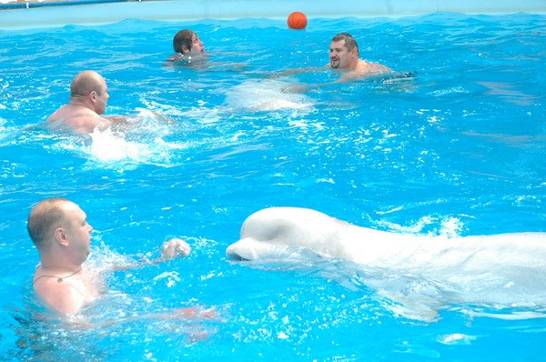 Vendetta Yalta Swimming Pool