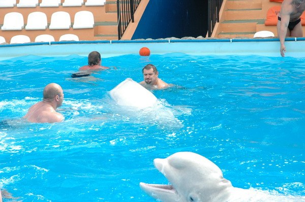 Vendetta Yalta Swimming Pool