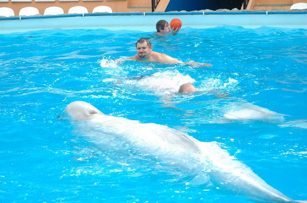 Vendetta Yalta Swimming Pool