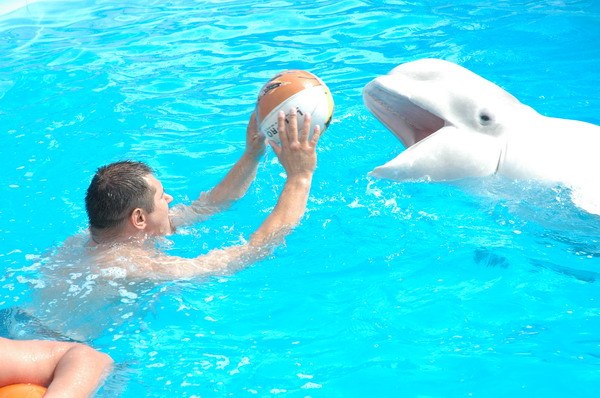 Vendetta Yalta Swimming Pool