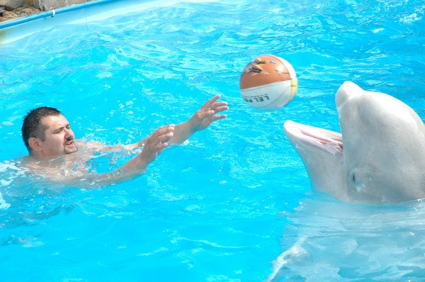 Vendetta Yalta Swimming Pool