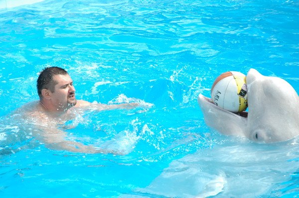 Vendetta Yalta Swimming Pool