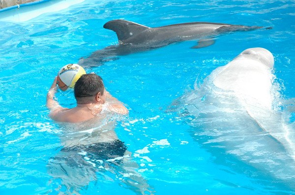 Vendetta Yalta Swimming Pool