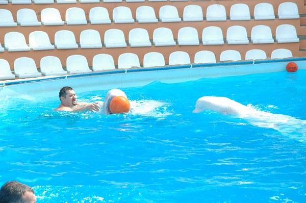 Vendetta Yalta Swimming Pool