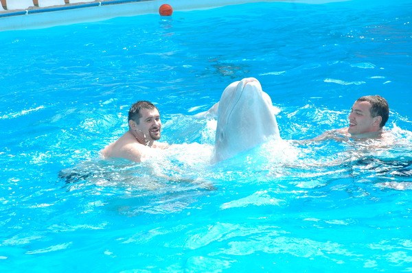 Vendetta Yalta Swimming Pool