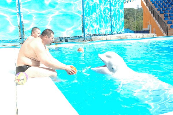 Vendetta Yalta Swimming Pool