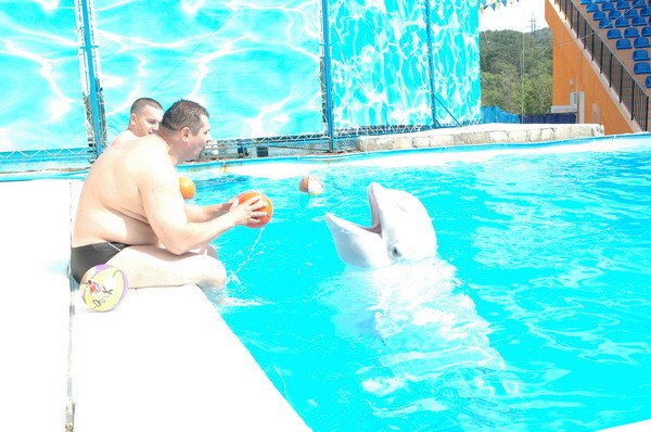 Vendetta Yalta Swimming Pool