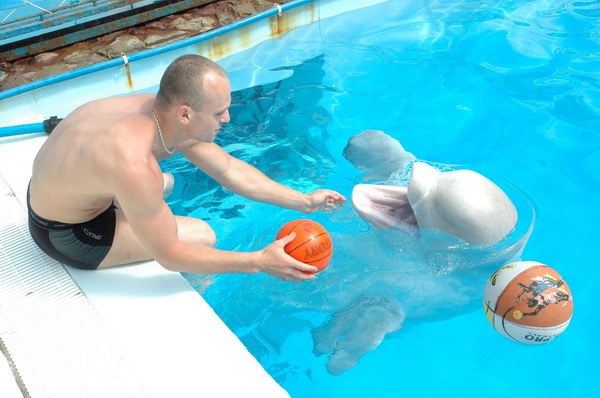 Vendetta Yalta Swimming Pool