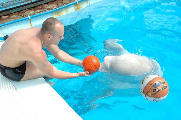 Vendetta Yalta Swimming Pool