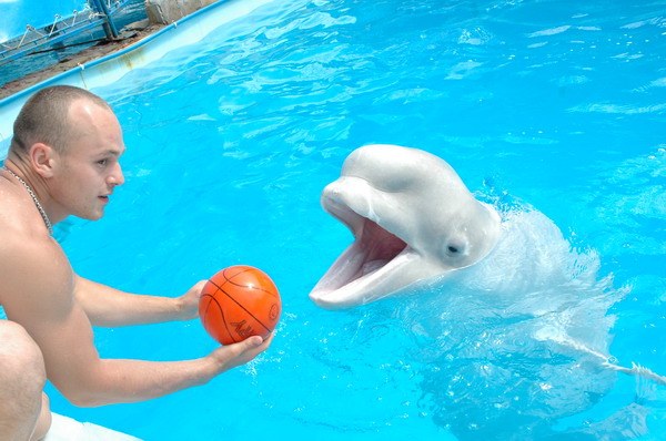 Vendetta Yalta Swimming Pool