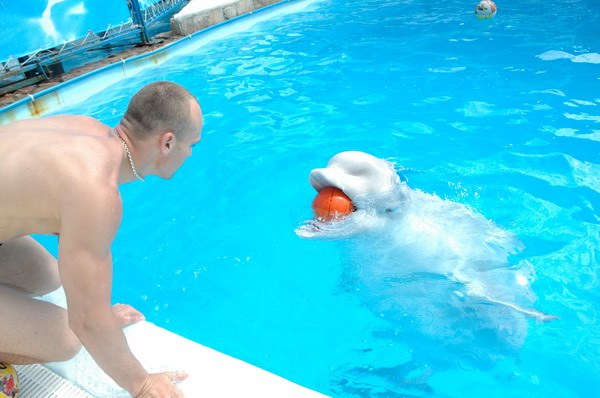 Vendetta Yalta Swimming Pool