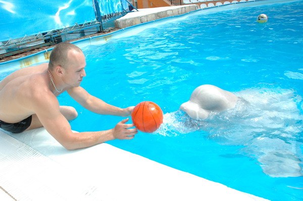 Vendetta Yalta Swimming Pool