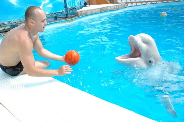 Vendetta Yalta Swimming Pool