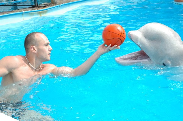 Vendetta Yalta Swimming Pool