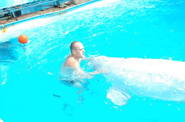 Vendetta Yalta Swimming Pool