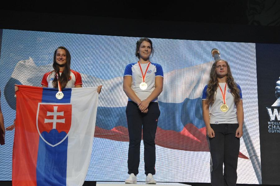 World Armwrestling Championship 2013 Day 2 Photo Mirek