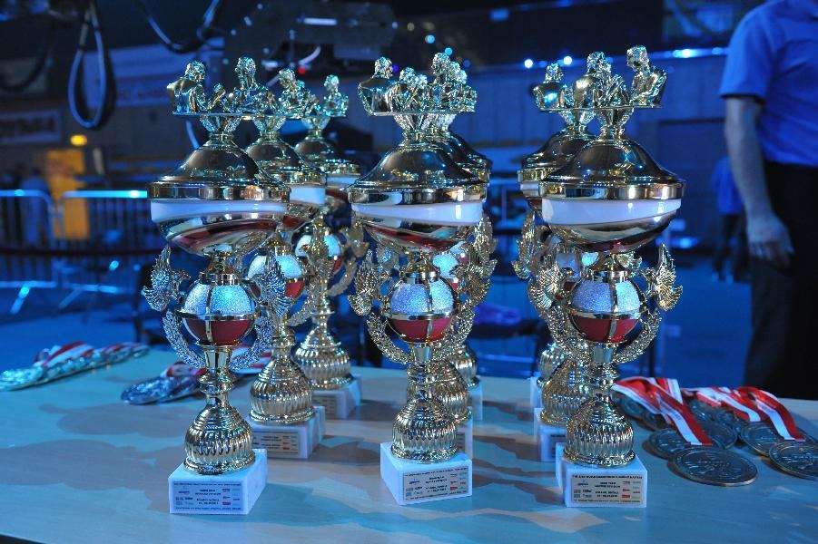 World Armwrestling Championship 2013 Day 2 Photo Mirek