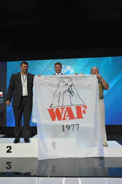 World Armwrestling Championship 2013 Day 4 Photo Mirek