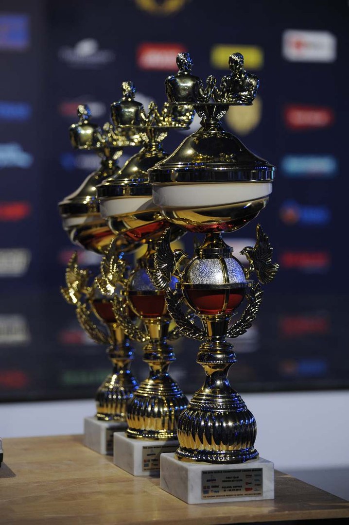 World Armwrestling Championship 2013 Day