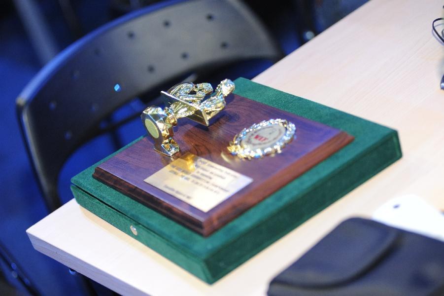 World Armwrestling Championship 2013 Photo Irina